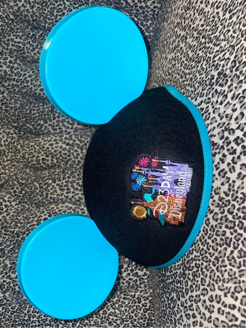 D23 Day Disneyland Mickey Ears
